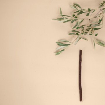 Siwak noir single piece 3